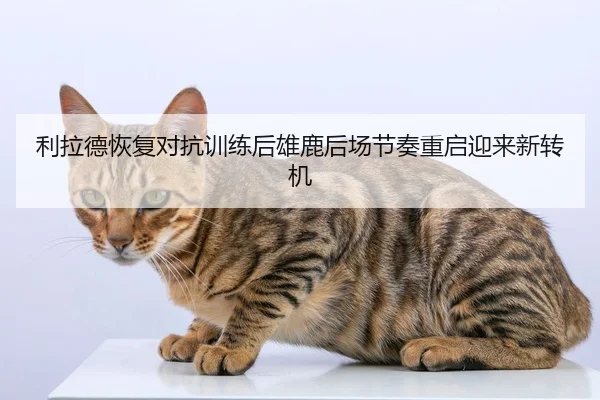 利拉德恢复对抗训练后雄鹿后场节奏重启迎来新转机